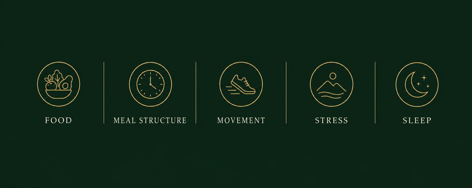 The five pieces of the reset: food, meal structure, movement, stress and sleep